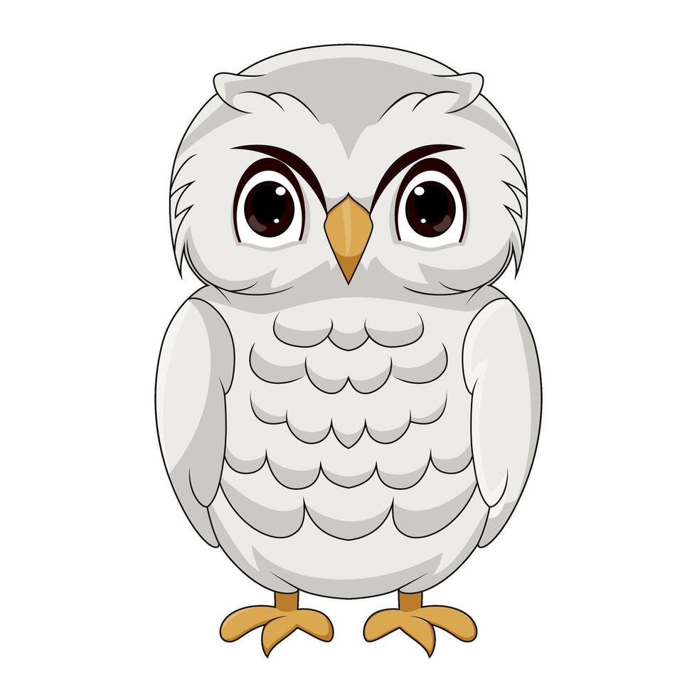 Cute white polar owl cartoon vector