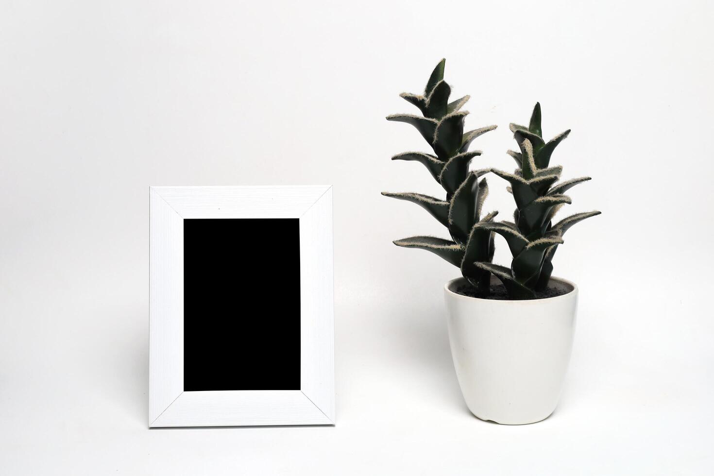 empty photo frame next to a flower pot on a white background