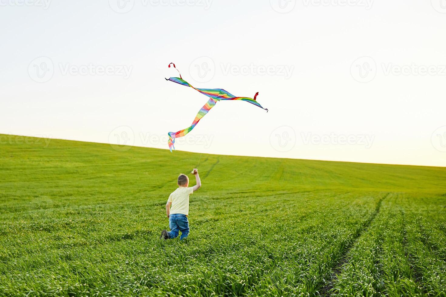 Little boy in yellow shirt running with kite in the field on summer day photo