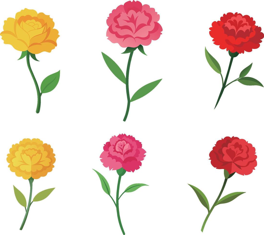 Set of carnation blooming flowers illustration vector