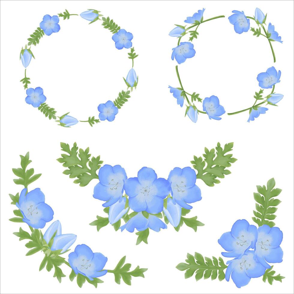 Cute Watercolor Nemophila Flowers - Baby Blue Eyes - Download Florals vector