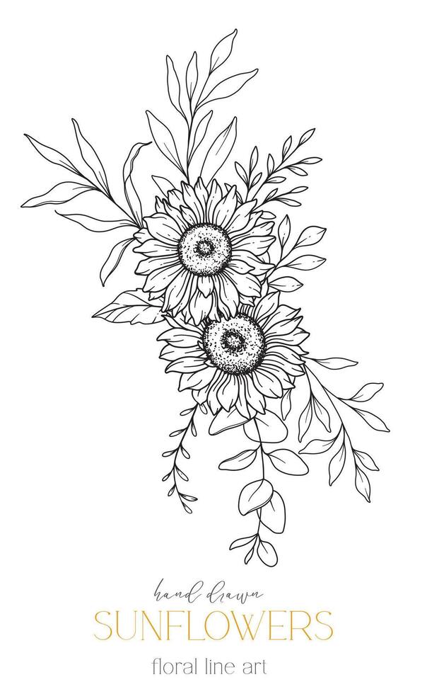 Sunflowers Line Art, Fine Line Sunflowers Hand Drawn Illustration. Fine Line Sunflowers illustration. Floral Line Art. Black and White Sunflowers Graphics vector