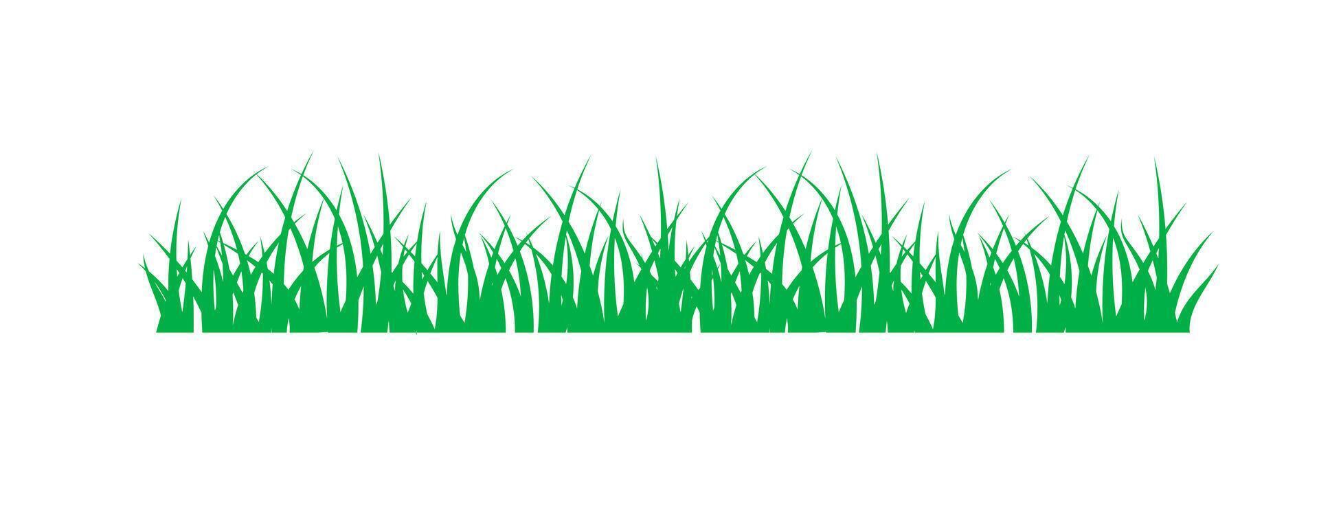 Greenery grass isolated on white background. Nature spring plant element illustration vector