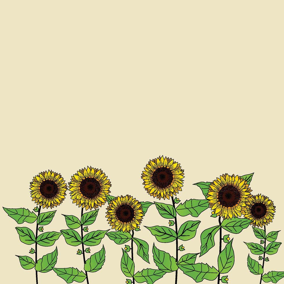 Sunflower with Beautiful Concept vector