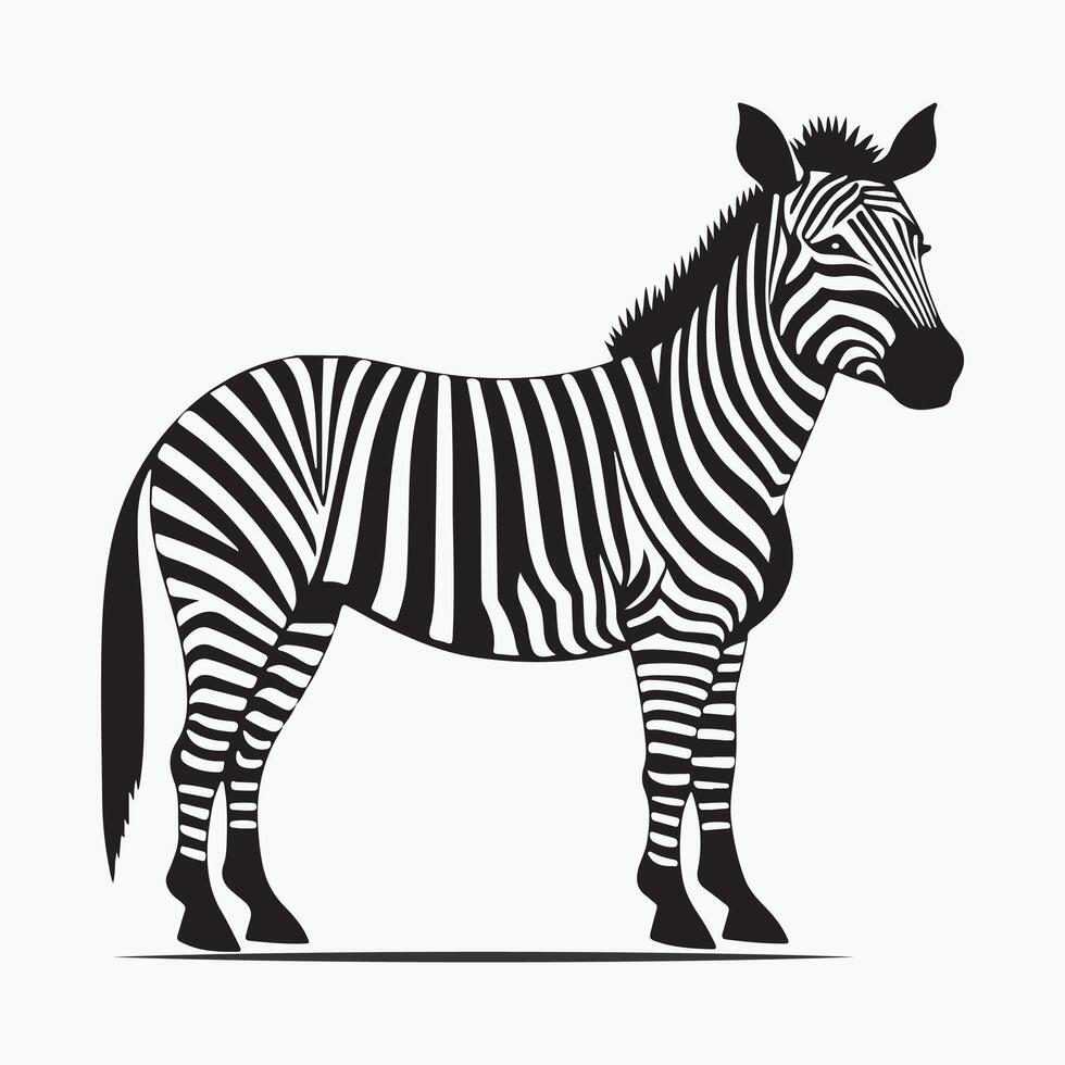 Zebra illustration black and white design vector