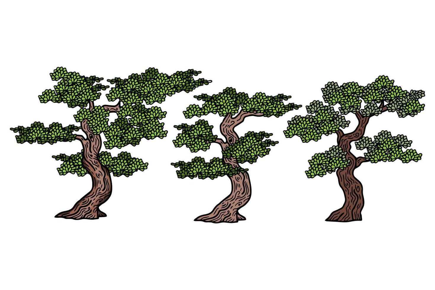 ilustración asiático japonés bonsai árbol elemento conjunto vector