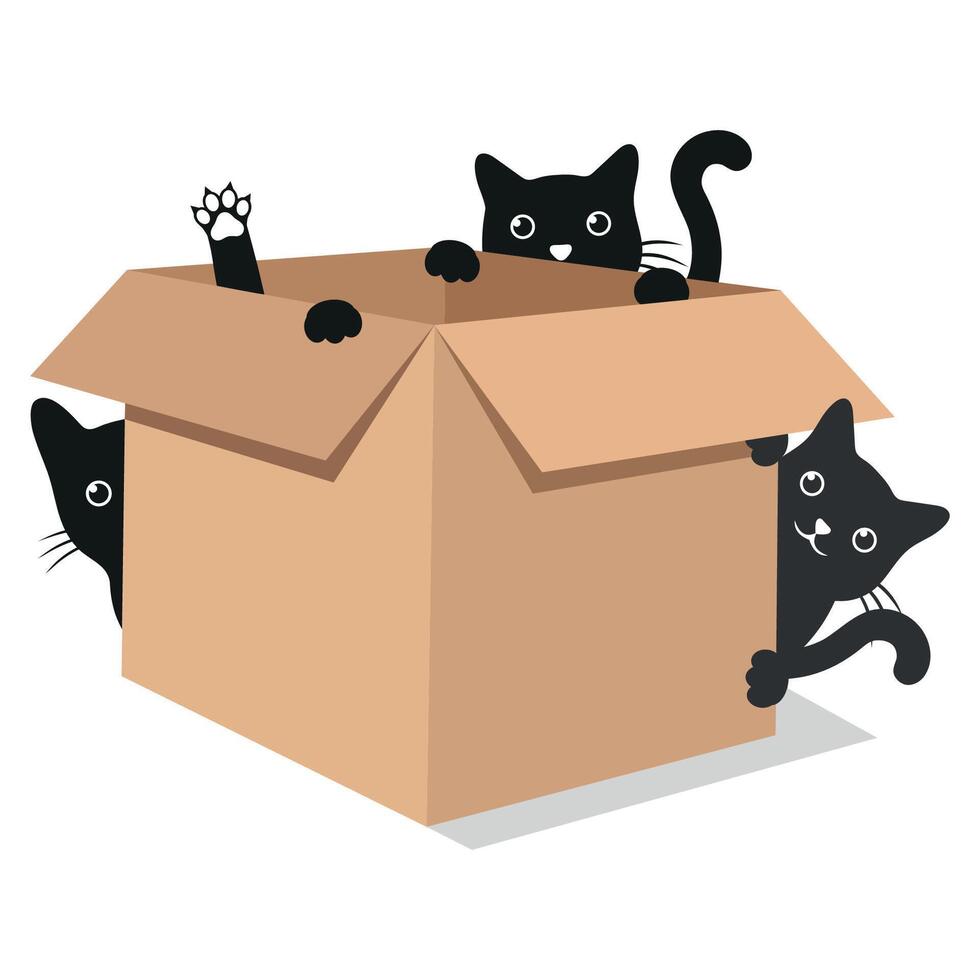 Illustration of cute black cats in cardboard box vector