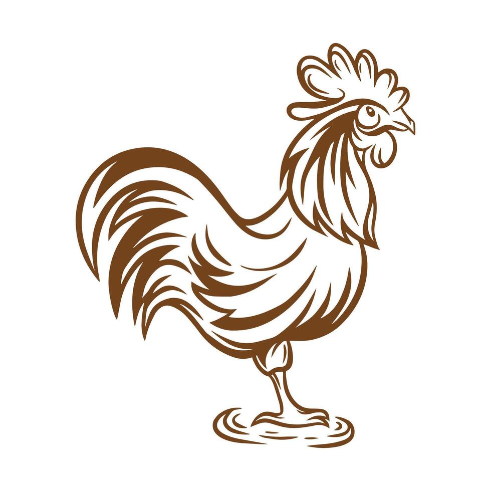 Hand drawn rooster outline vector