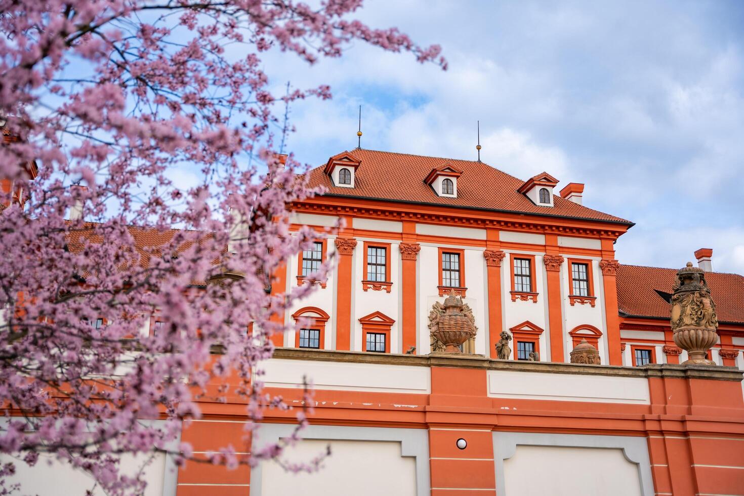 praga, checo república - marzo 17, 2024. troja palacio en primavera con floreciente sakura en praga, checo república. alto calidad foto