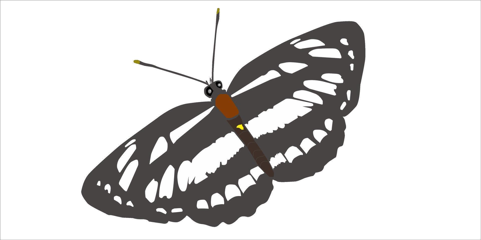 negro y blanco mariposa ilustración vector