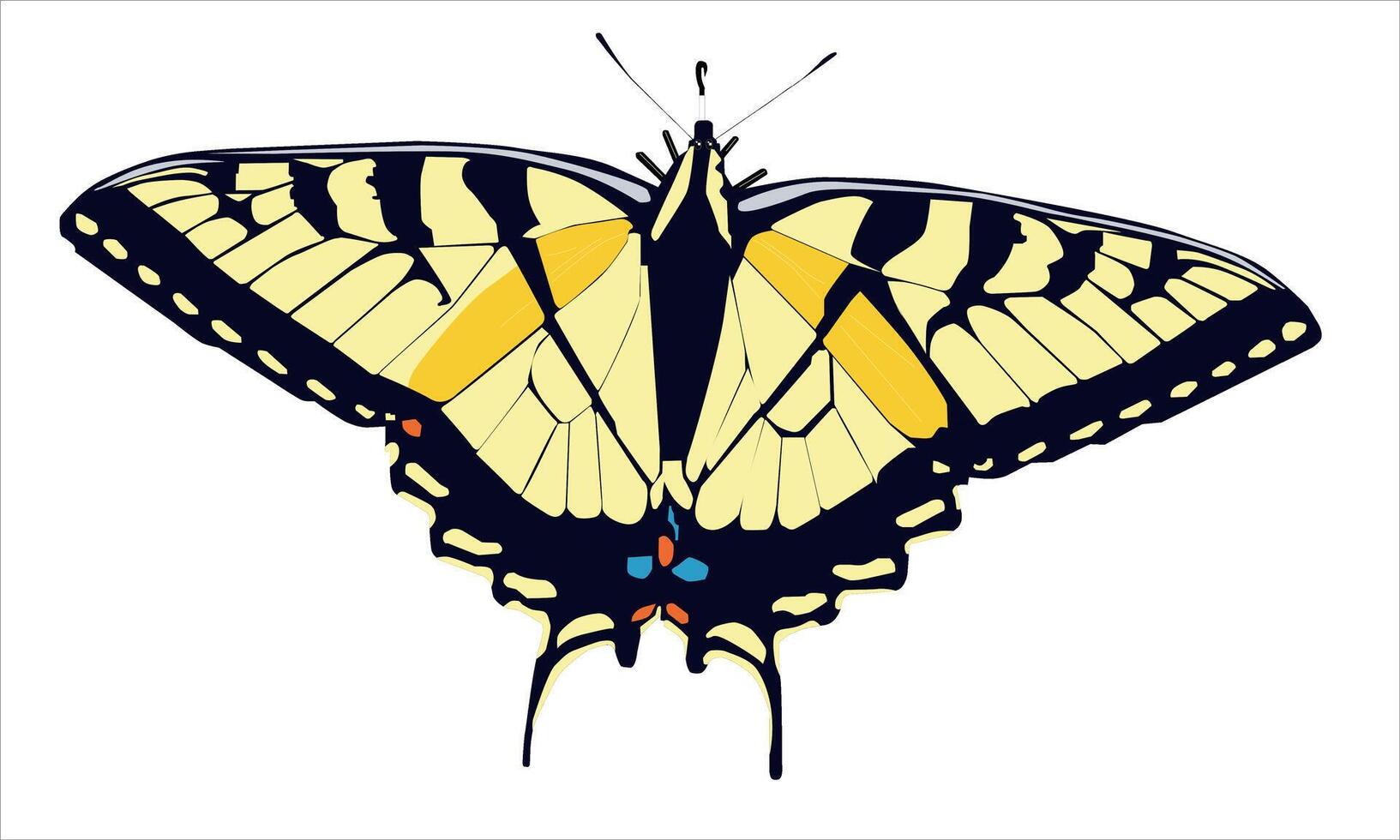 illustration of a beautiful black and orange butterfly on a white background vector