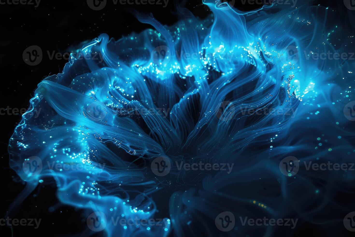 The Dazzling Display of Bioluminescent Plankton photo