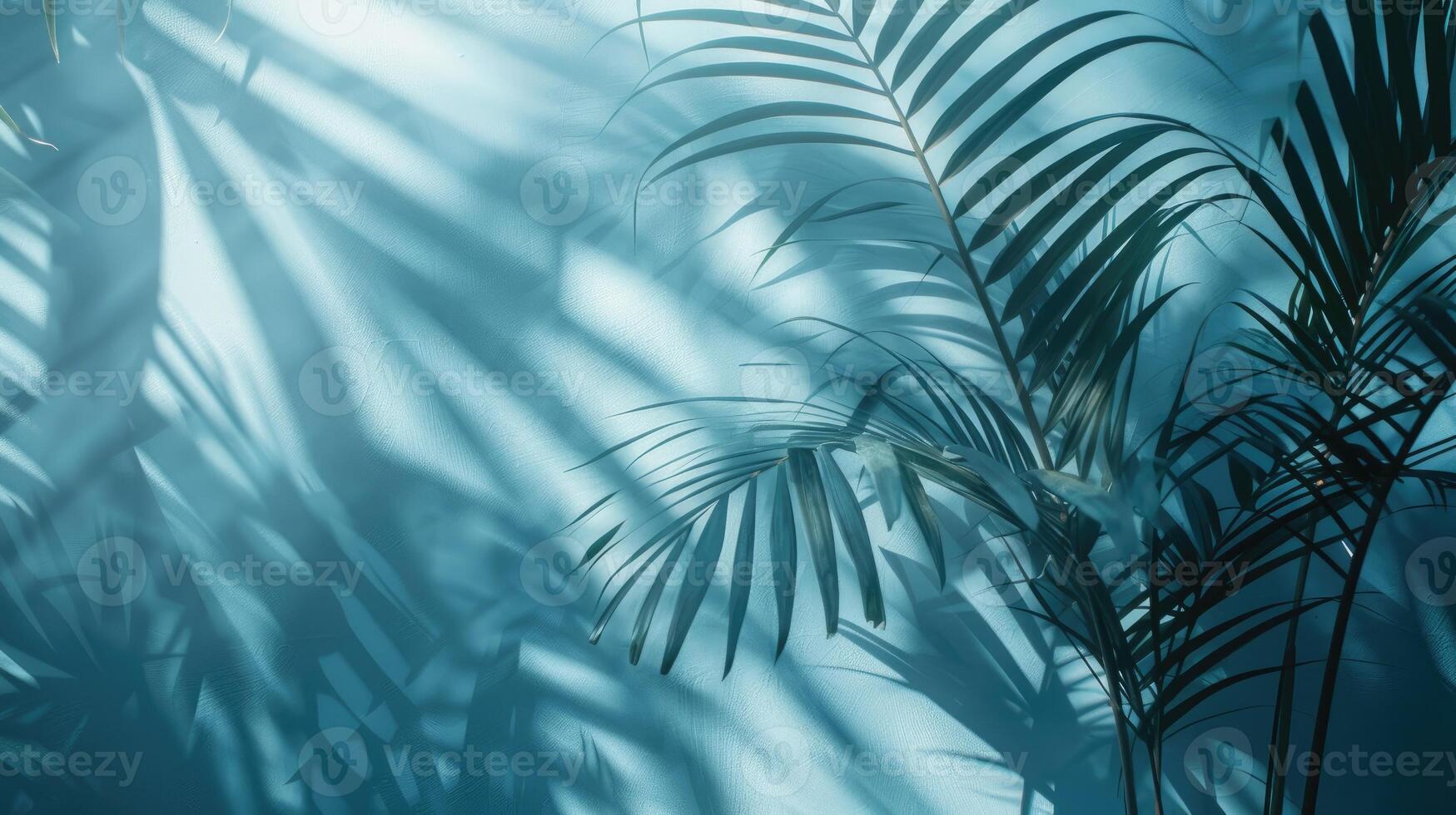 Blurred shadow from palm leaves on the light blue wall. Minimal abstract background for product presentation. photo