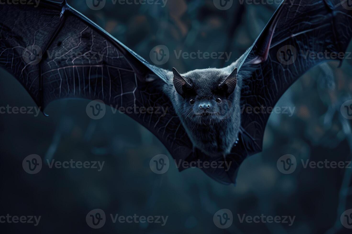 Flying bat with intense gaze in the dark photo