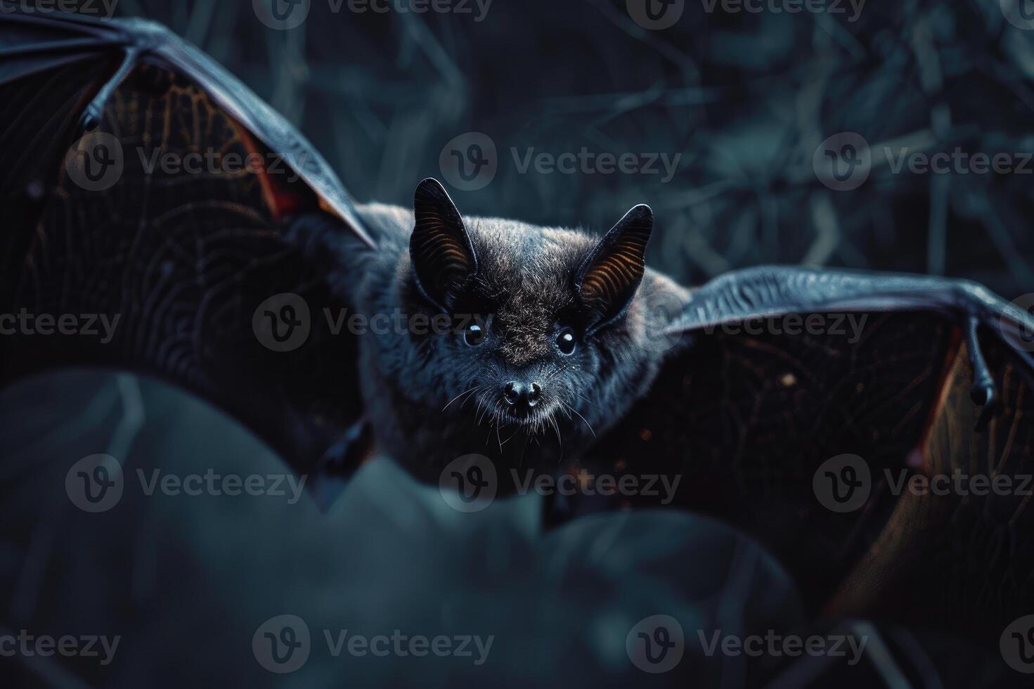 Flying bat with intense gaze in the dark photo