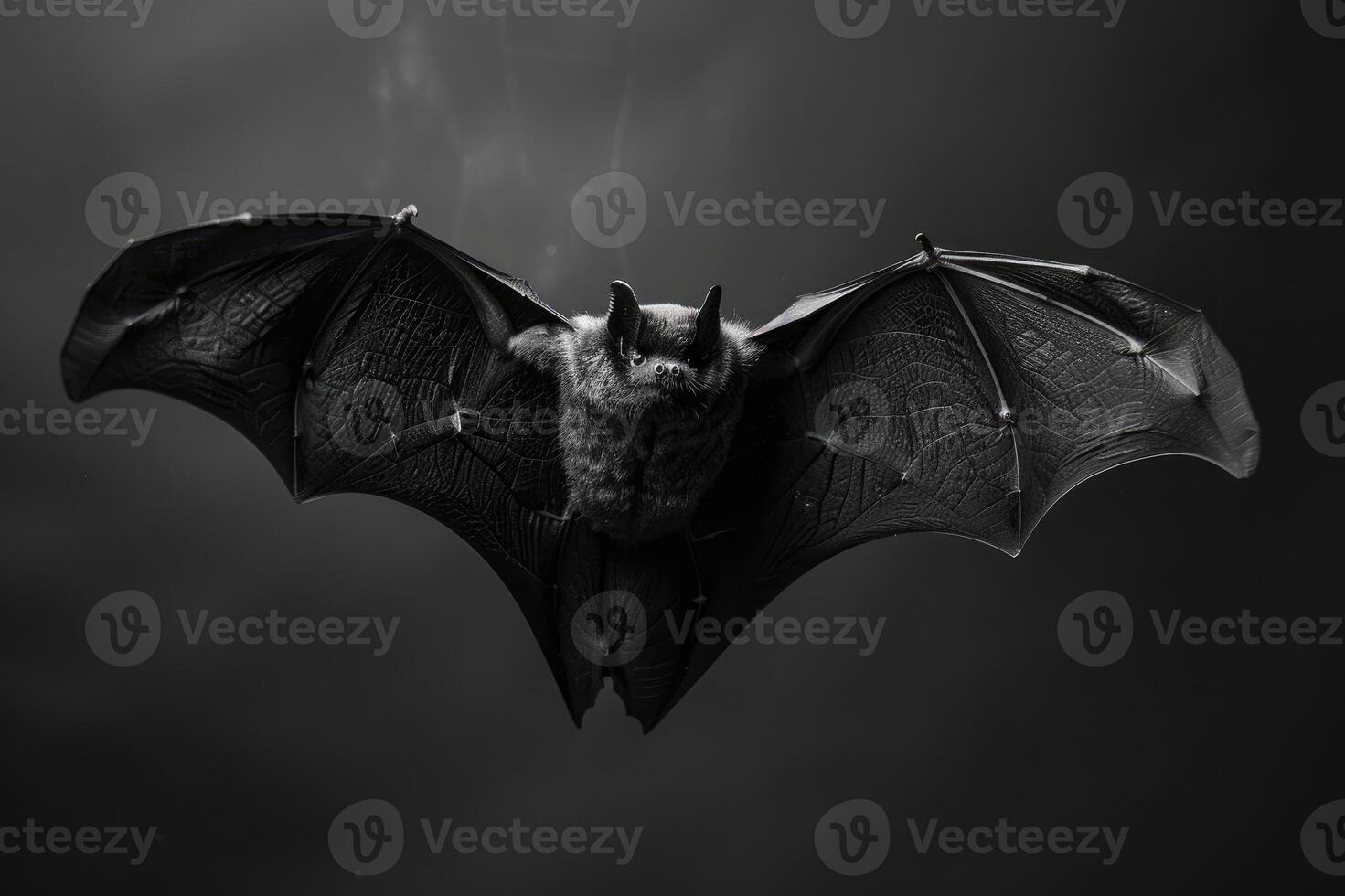 Flying bat with intense gaze in the dark photo