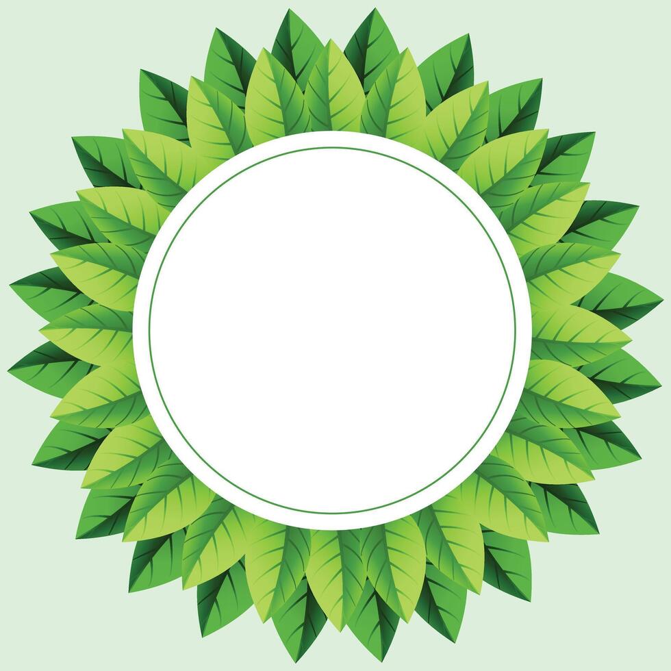 Herbal minimalist frames. Hand painted plants, branches, leaves on a white background. Greenery wedding simple invitation template. Watercolor style card. All elements are isolated and editable vector