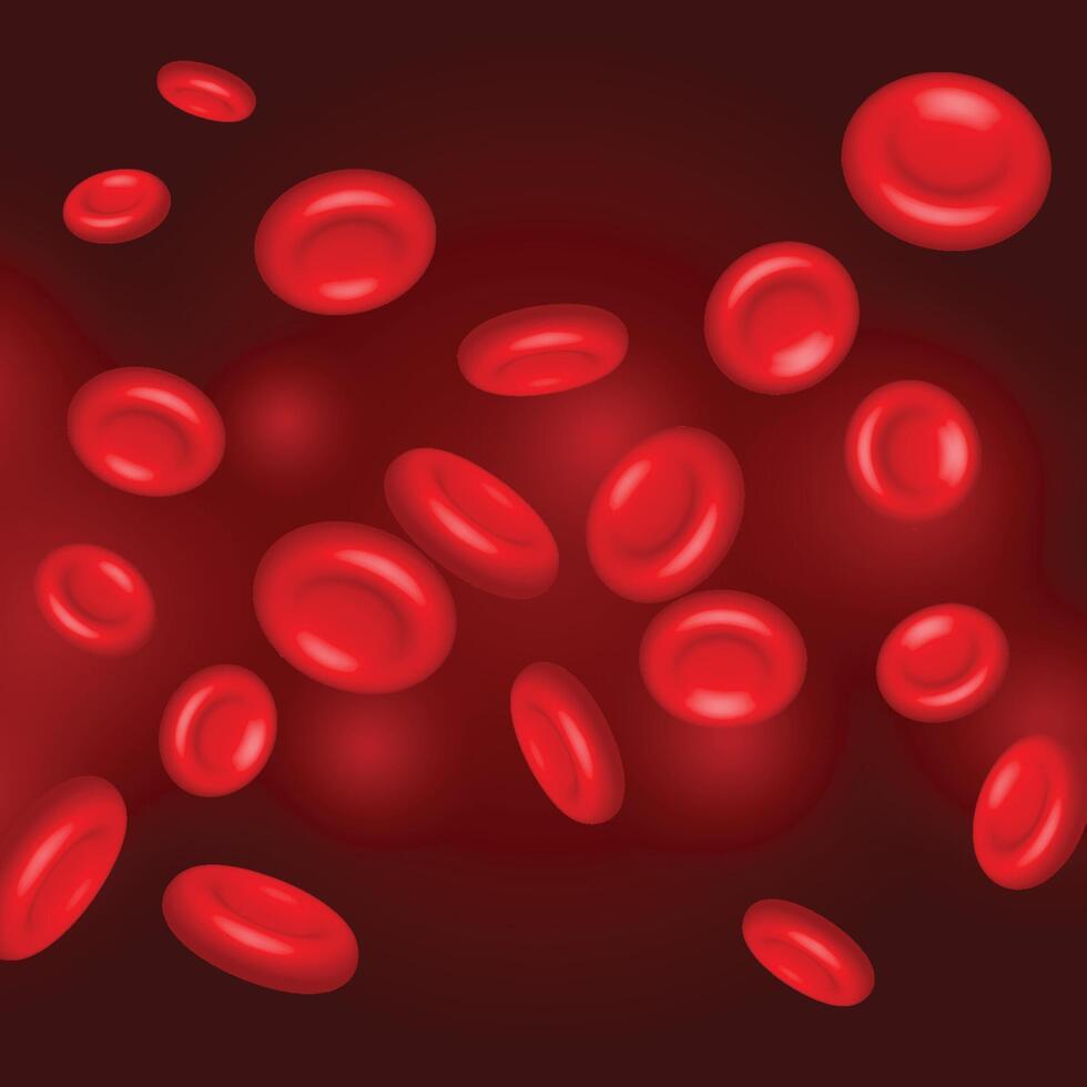 Red blood cells flowing background vector