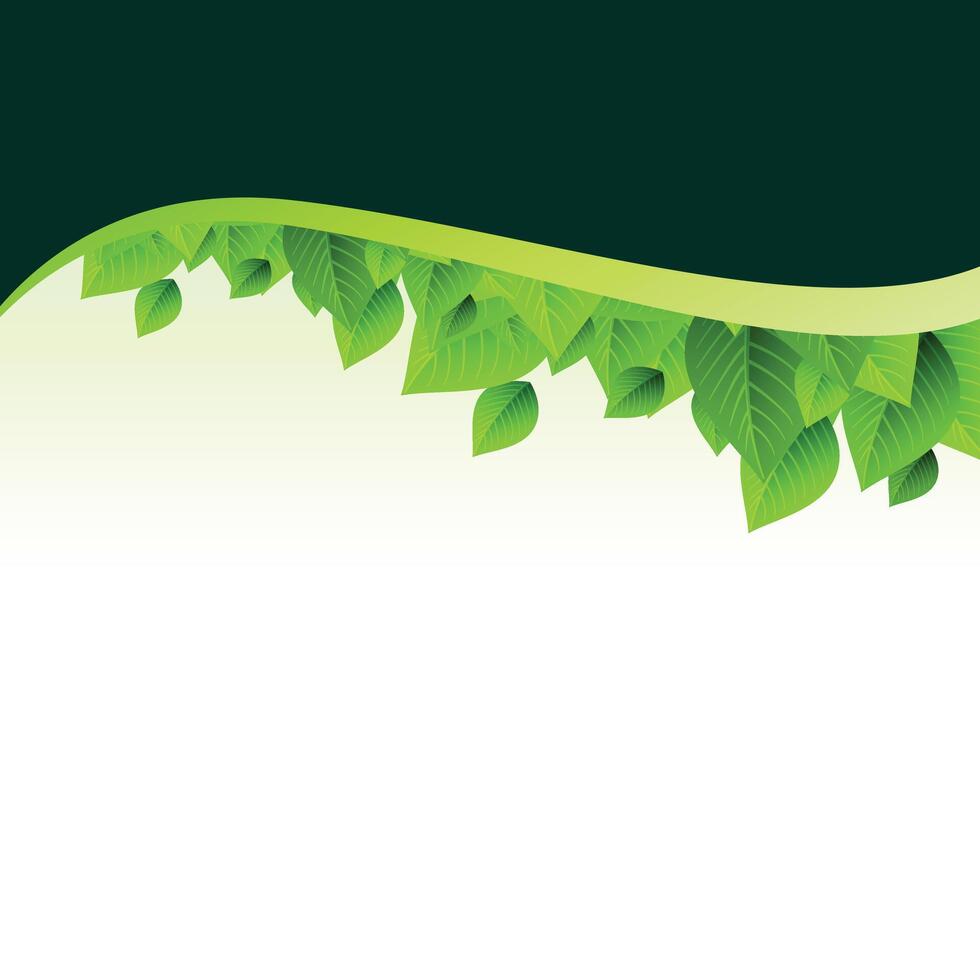 Summer branches with fresh green leaves on natural background. vector