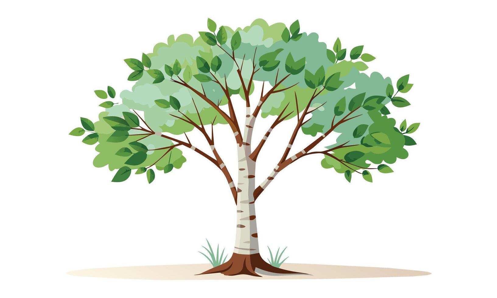 abedul árbol aislado plano ilustración en blanco antecedentes vector