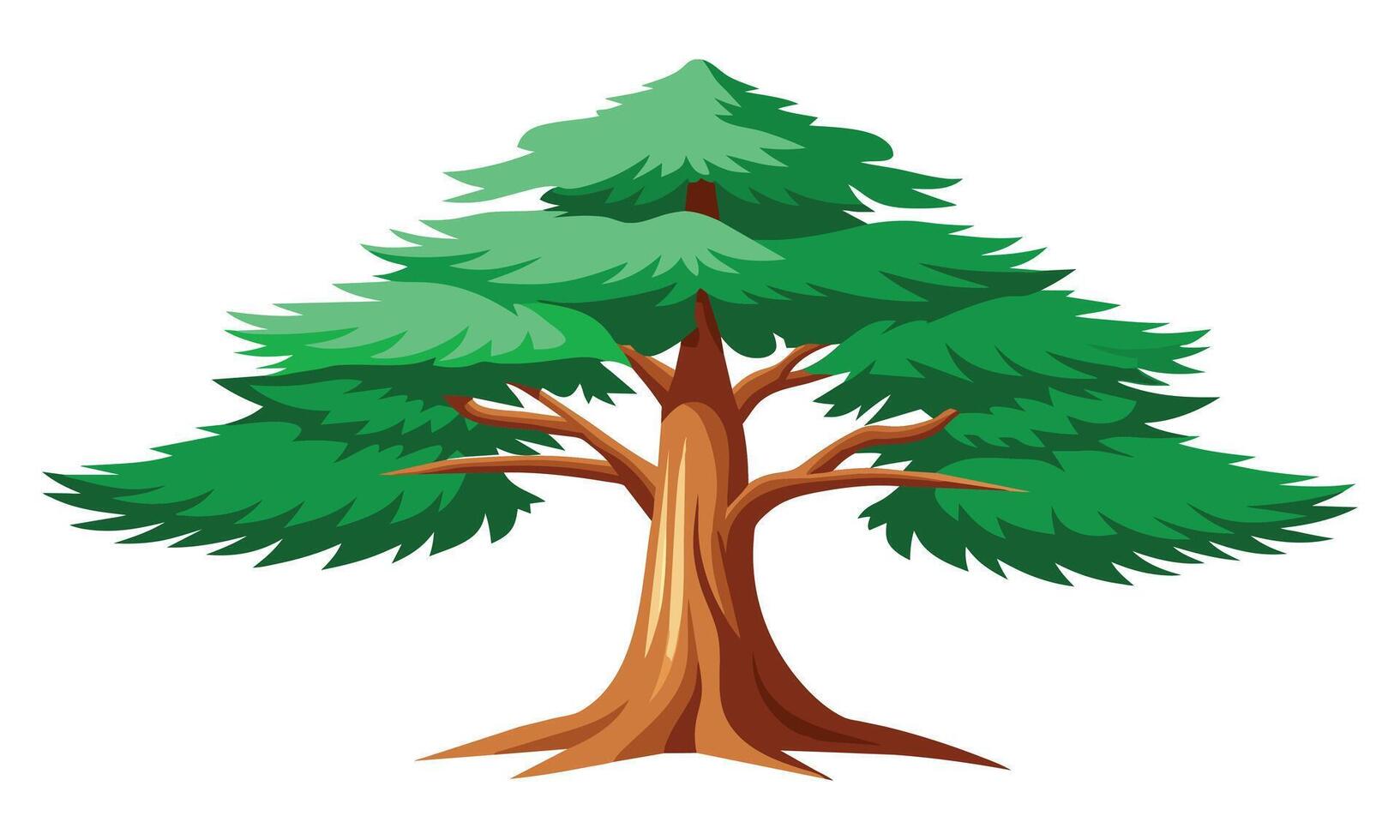 Cedar tree outline isolated flat illustration on white background. vector