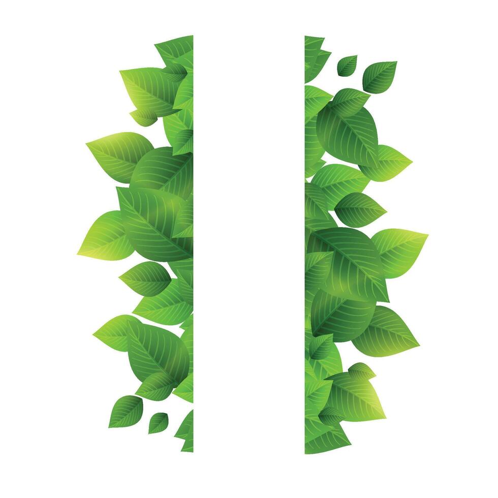 Summer branches with fresh green leaves on natural background. vector
