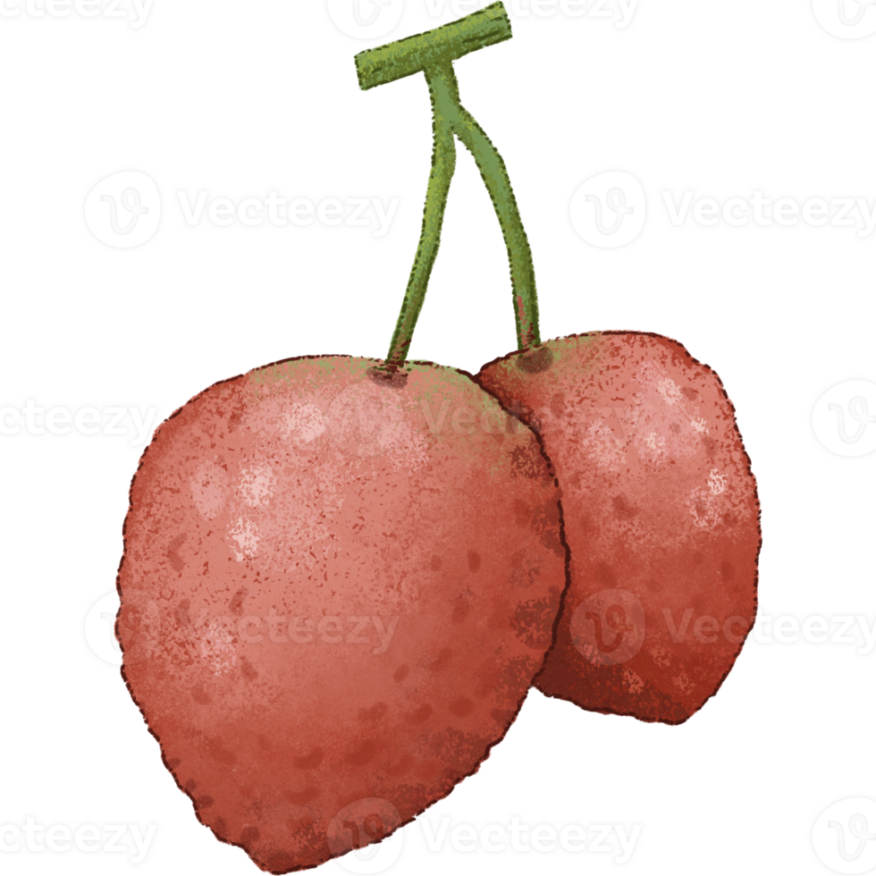 vermelho lichia verão fruta png