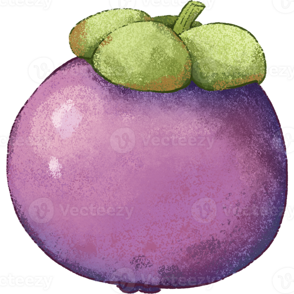 Purple Mangosteen summer fruit png