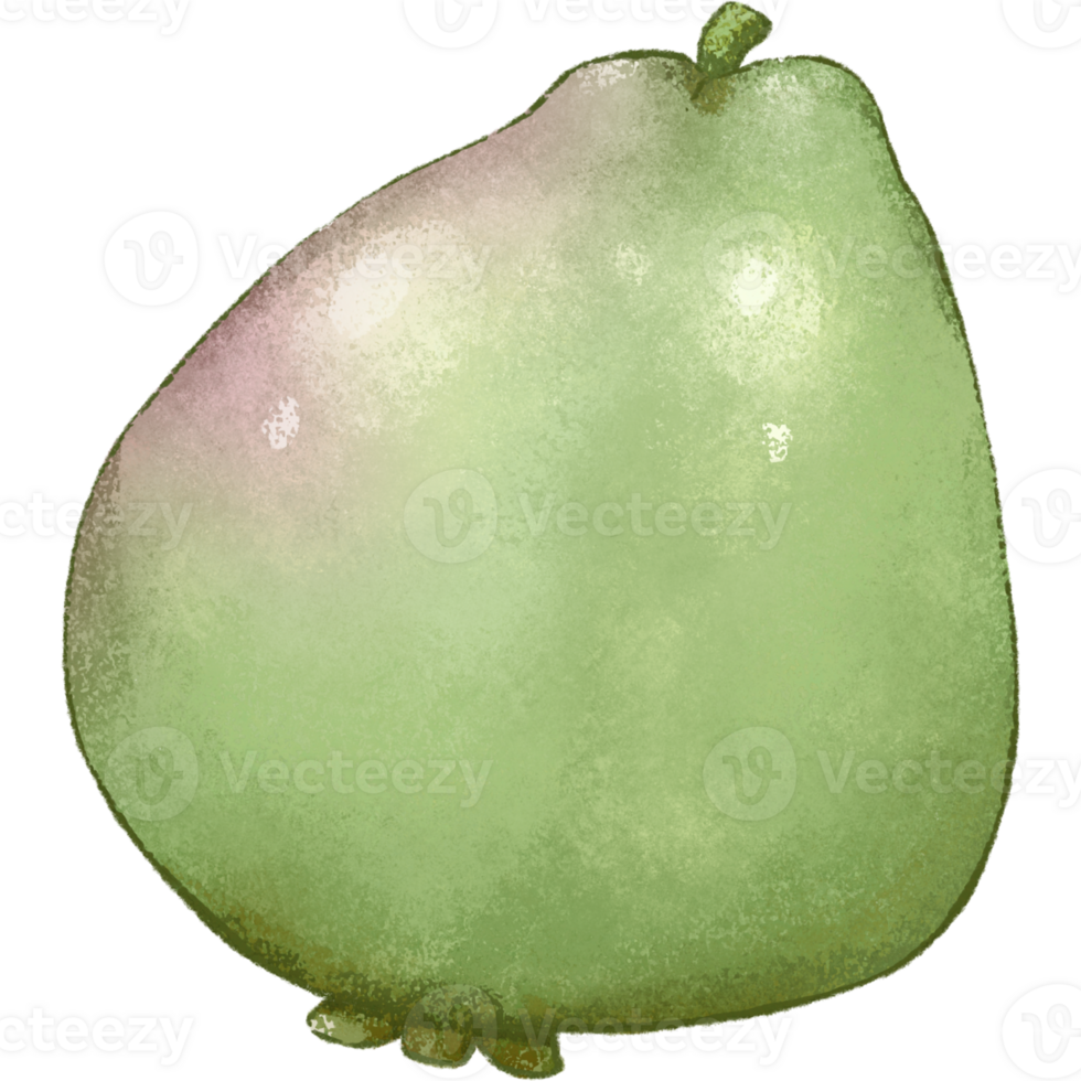 grön guava sommar frukt png