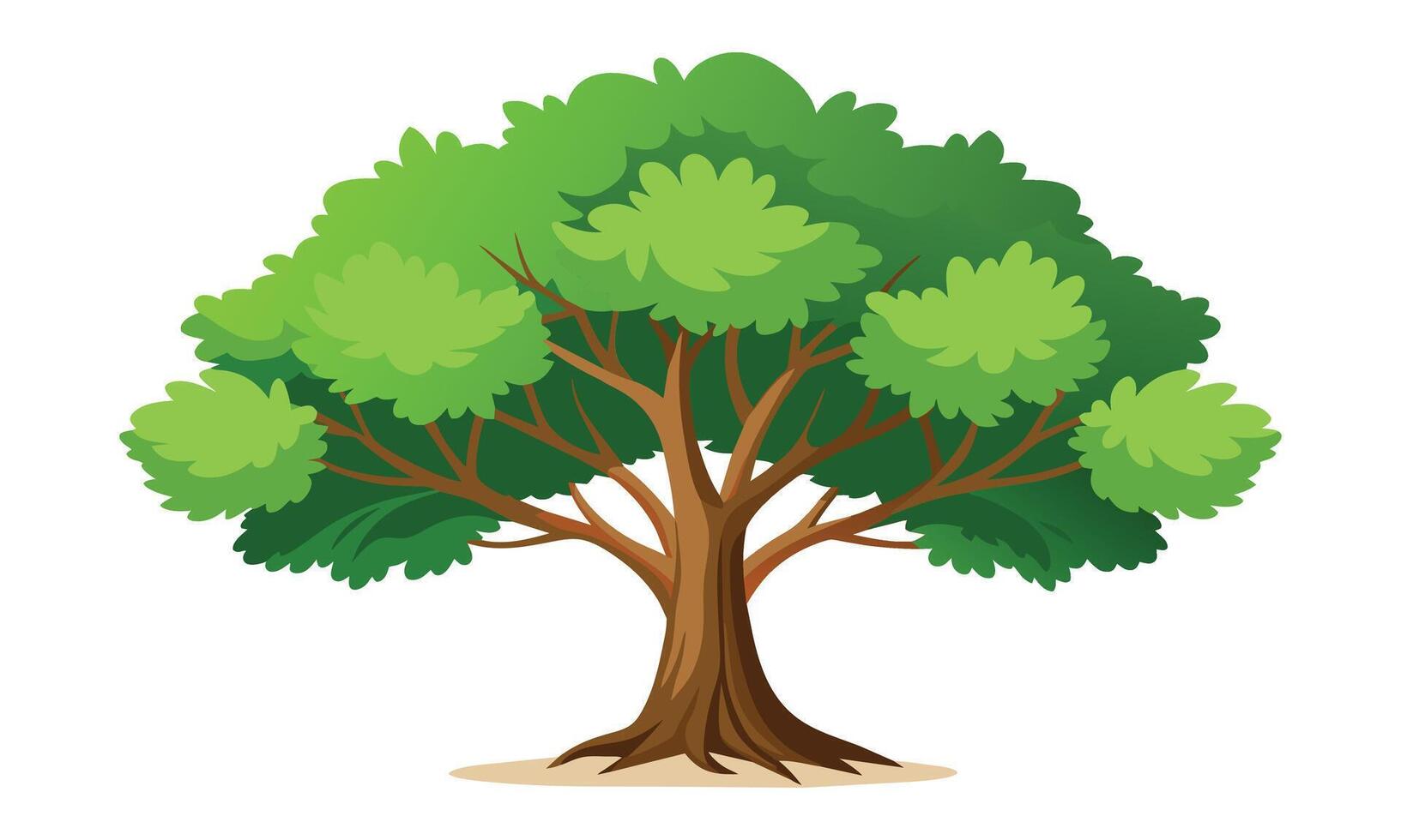 Sycamore tree isolated flat illustration on white background. vector