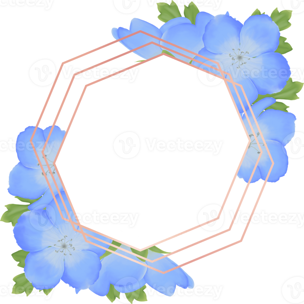 Cute Watercolor Nemophila Flowers - Baby Blue Eyes - Download Florals png