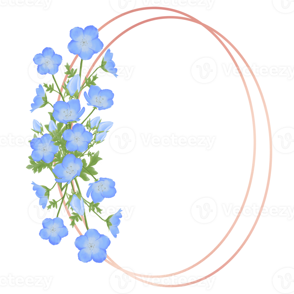 söt vattenfärg nemophila blommor - bebis blå ögon - ladda ner blom png