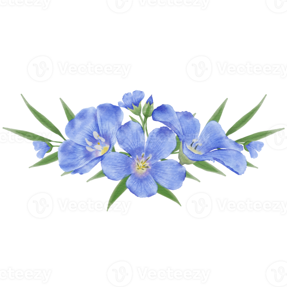 Beautiful Watercolor Flax Flowers - Spring Botanical Design png