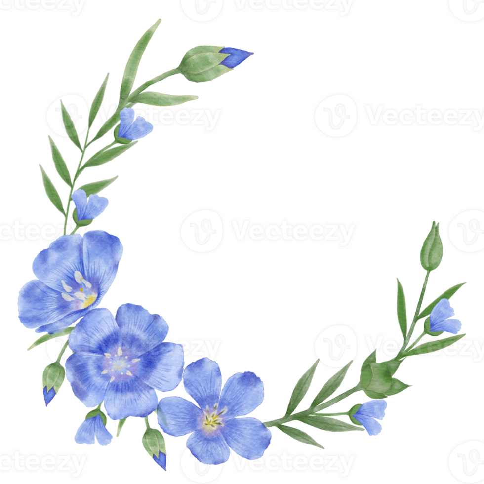 Beautiful Watercolor Flax Flowers - Spring Botanical Design png
