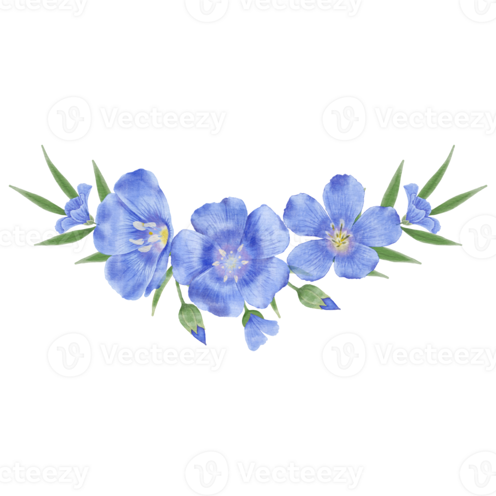 Beautiful Watercolor Flax Flowers - Spring Botanical Design png