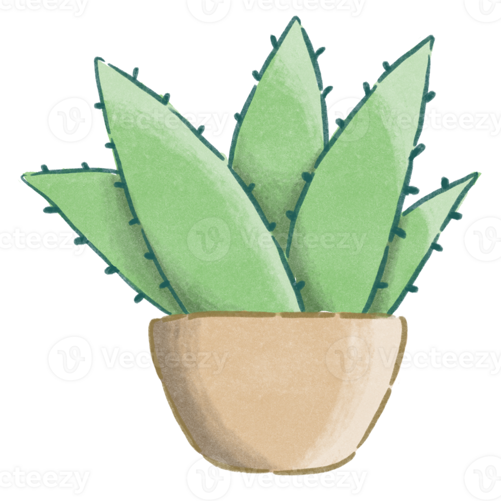 Hand-Drawn Watercolor Tree in Pot - Spring Home Decor png