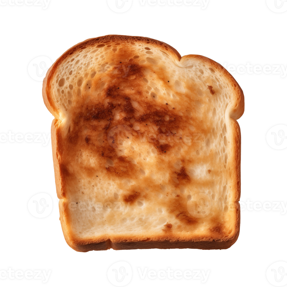 a slice of toast bread isolated on a transparent background, top view png