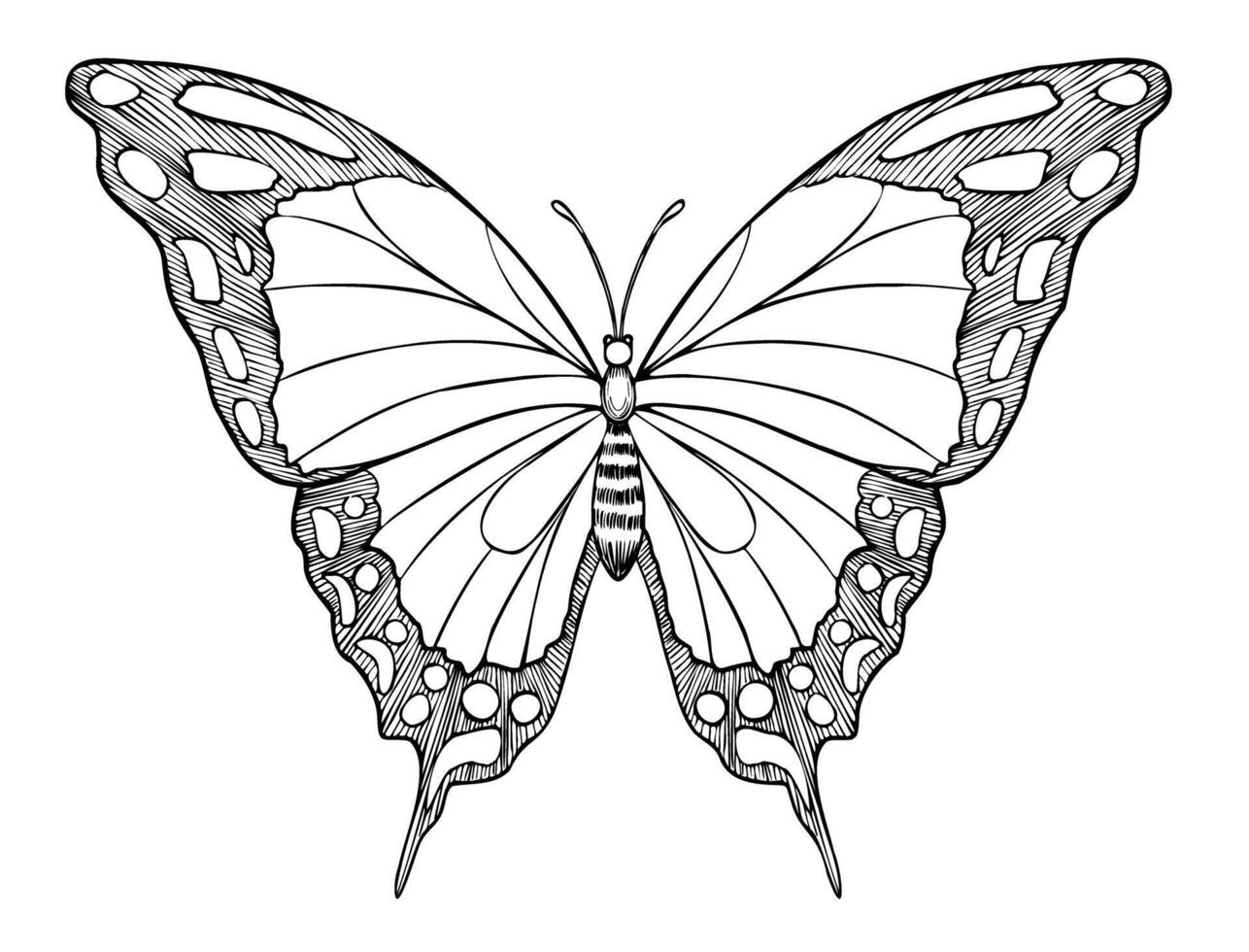 Butterfly Machaon illustration. Drawing of insect with Wings painted by black inks. Hand drawn sketch of flying moth for wedding invitations or postcards. Vintage etching for icon or logo vector