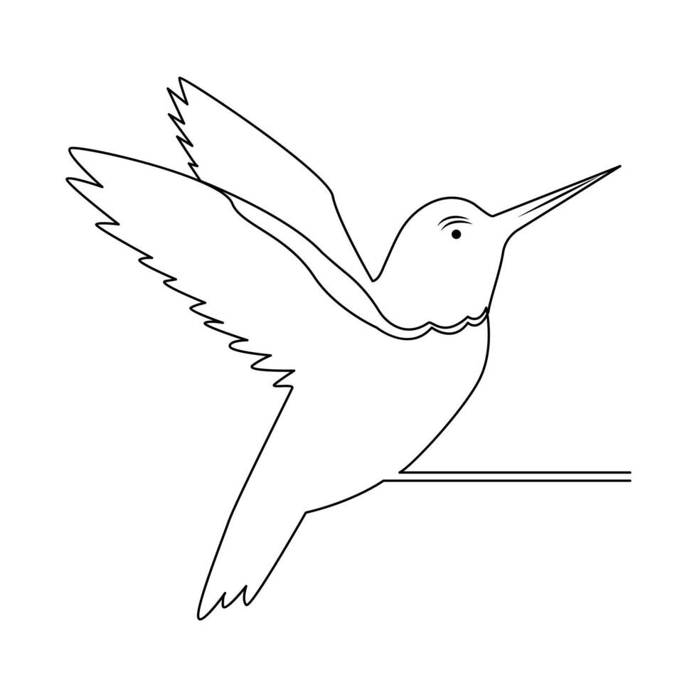 Hummingbird Continuous one line drawing illustration art design vector