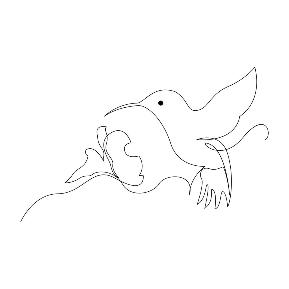 Hummingbird Continuous one line drawing illustration art design vector