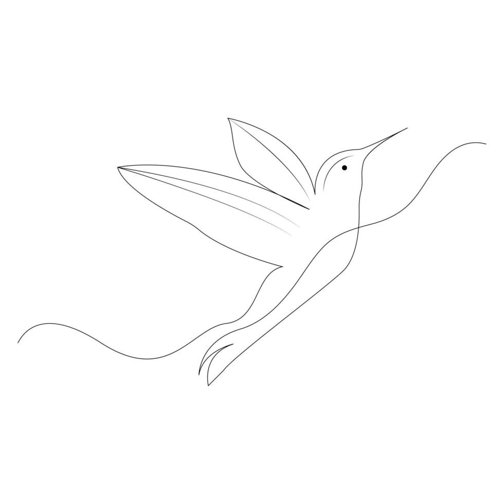 Hummingbird Continuous one line drawing illustration art design vector