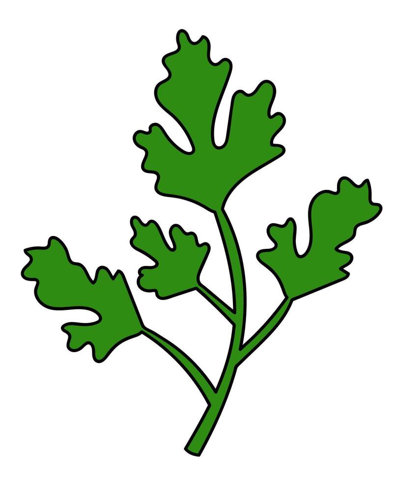 Parsley twig. Spice, condiment and herb. Kitchen cooking. Food Doodle icon, logo, sticker. flat illustration. vector