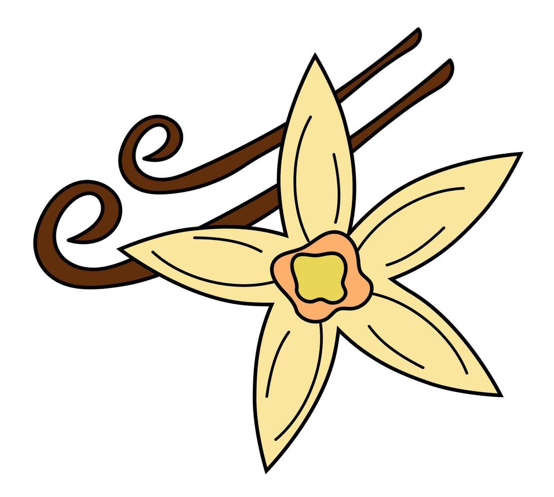 vainilla flor y vaina. especia, condimento y hierba icono, pegatina, logo, emblema. plano dibujos animados ilustración. vector