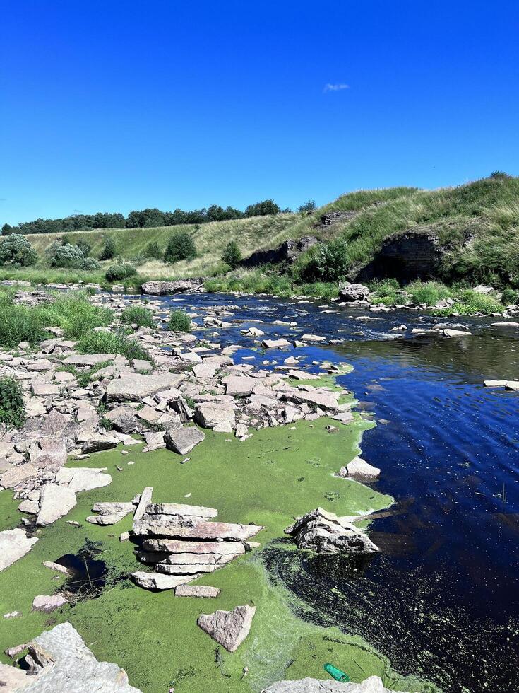 a river with green algae on the rocks photo