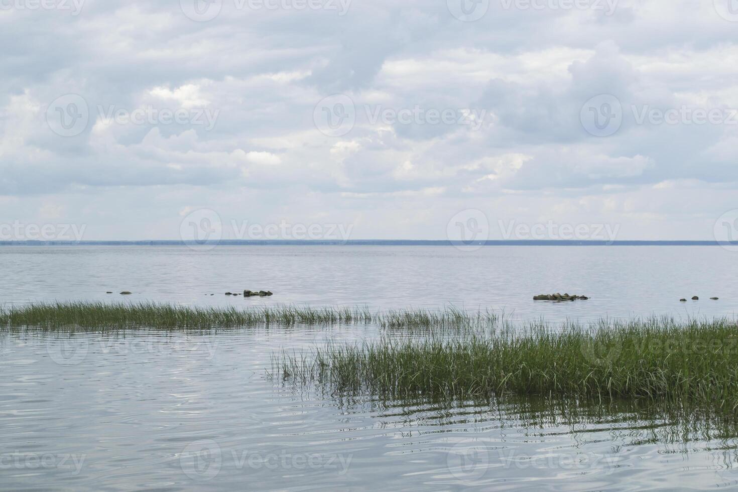 el isla en el mar y siluetas de aves. verano marina. foto