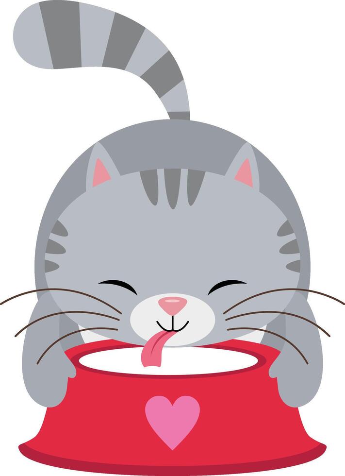 Cute funny cat drinking milk vector