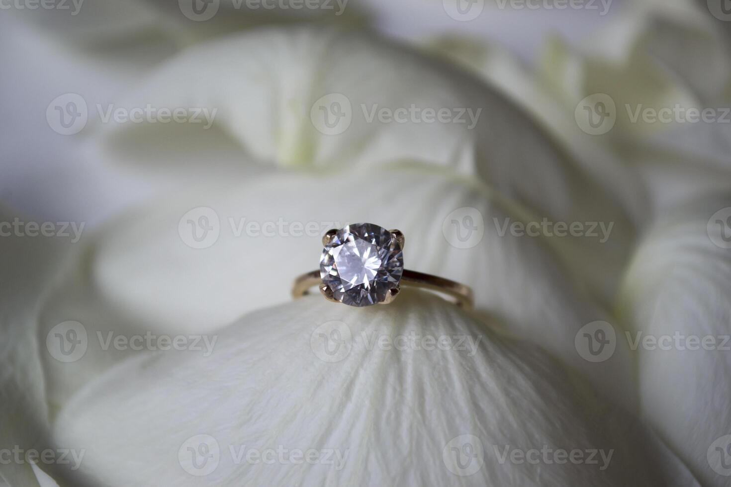Wedding ring on white petals of roses. photo