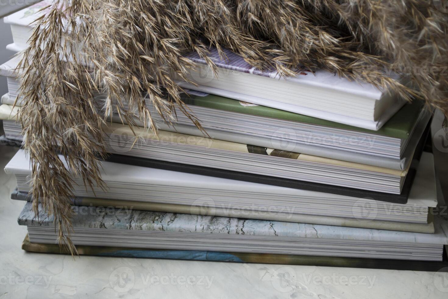 Stack of books, close up. photo