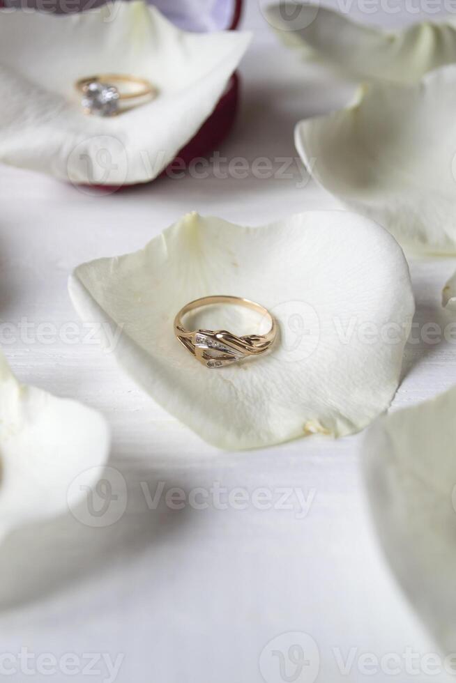 Golden rings on a white petals of roses. photo