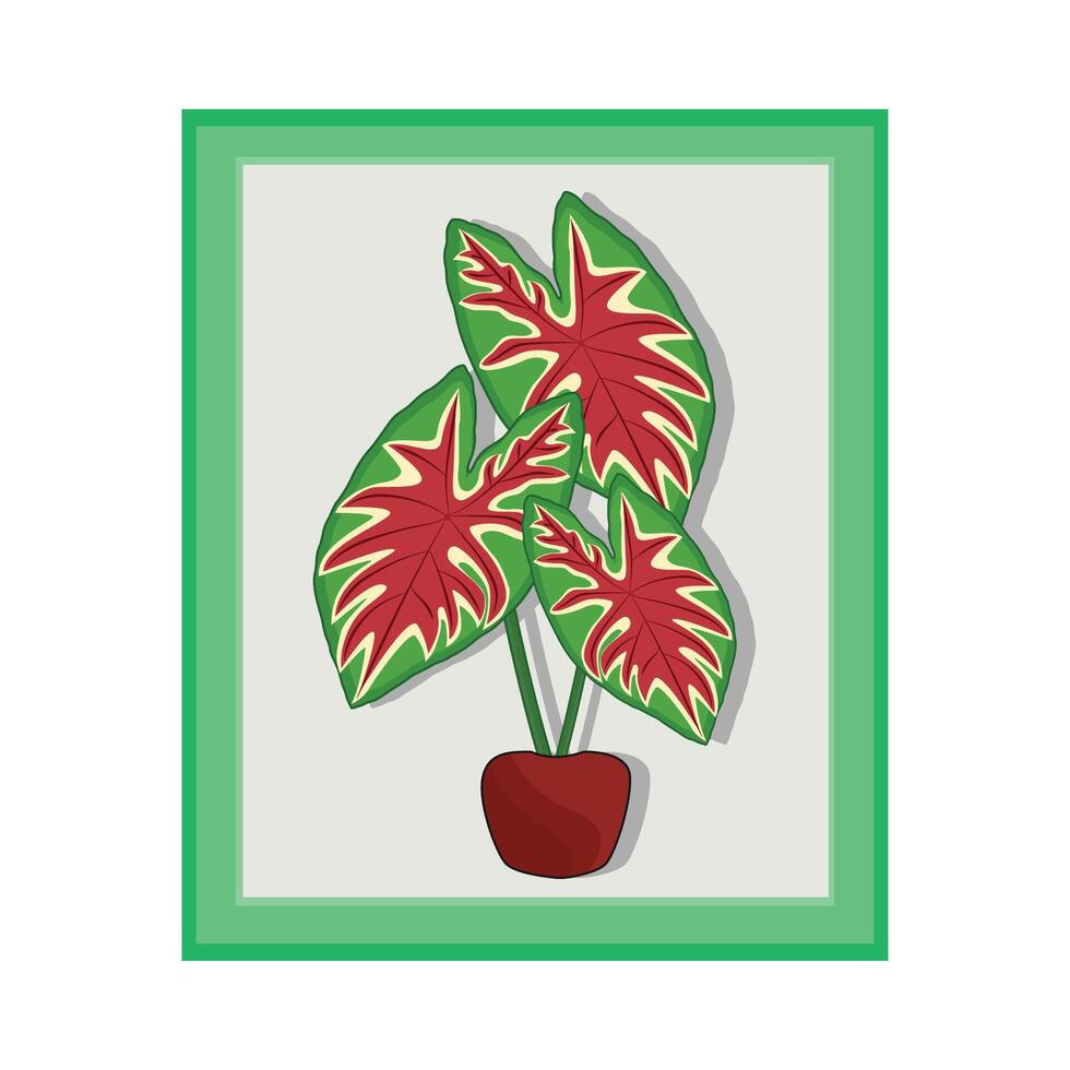 illustration of caladium leaf vector